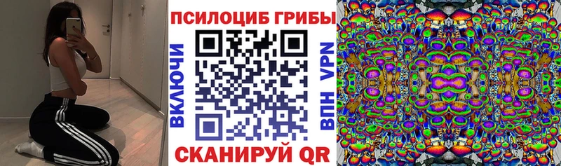 Псилоцибиновые грибы мухоморы  ОМГ ОМГ зеркало  Гурьевск 